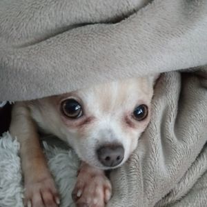 Meet your Posher, Vickie